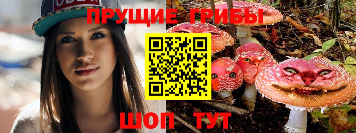 Галлюциногенные грибы Magic Shrooms  Вход с VPN  наркошоп  Псилоцибиновые грибы Psilocybine cubensis  Сыктывкар 